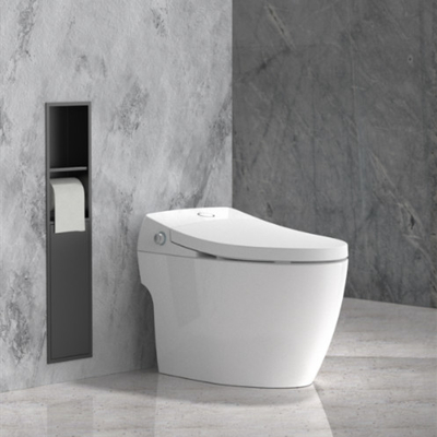 Niche per spazzole da bagno in acciaio inossidabile in finitura spazzolata Perfetto per qualsiasi design del bagno