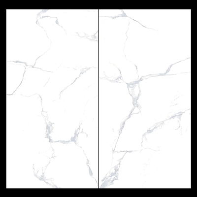 Porcellana di marmo di Calacatta bianco puro 24 x 48 piastrelle di pavimento AAA Grigi Famiglia di colori