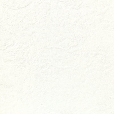 GradeAAA Piastrelle di pavimento in ceramica omogenea bianca 600x600 10 mm di spessore con superficie ruvida