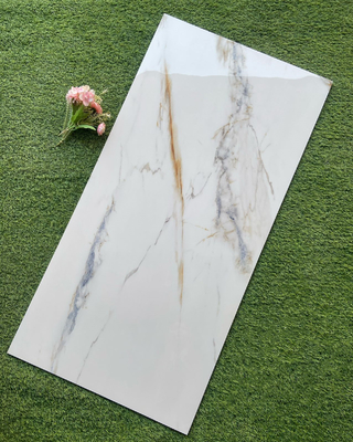 600x1200mm piastrelle da pavimento in porcellana di grandi dimensioni e competitivi per le esigenze di pavimento